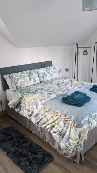 Cosy 2 Bedroom Coach House Belfast Extérieur photo